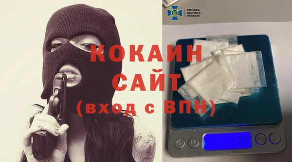 крисы Алексин