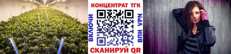 закладки  Петушки  ТГК жижа 