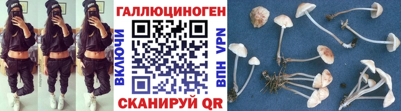 как найти закладки  Петушки  Галлюциногенные грибы ЛСД 